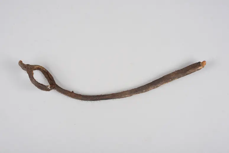 Whip Fragment