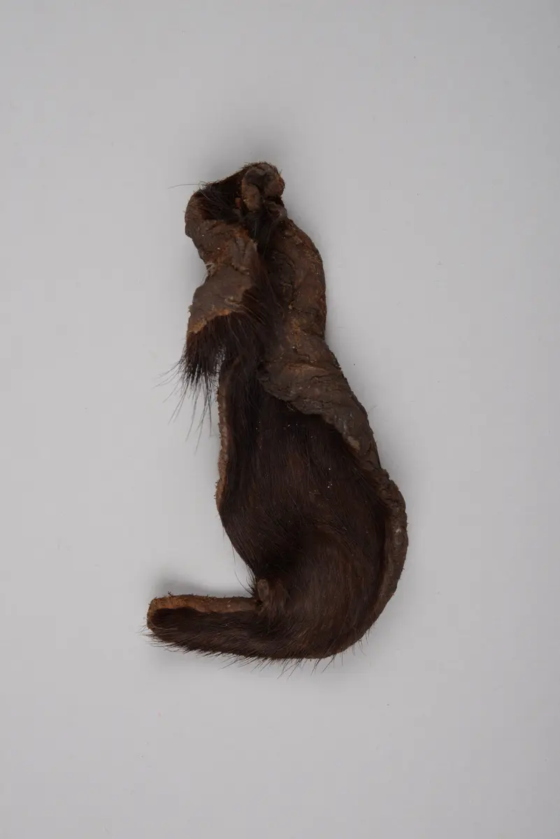 Fell (Amulett)