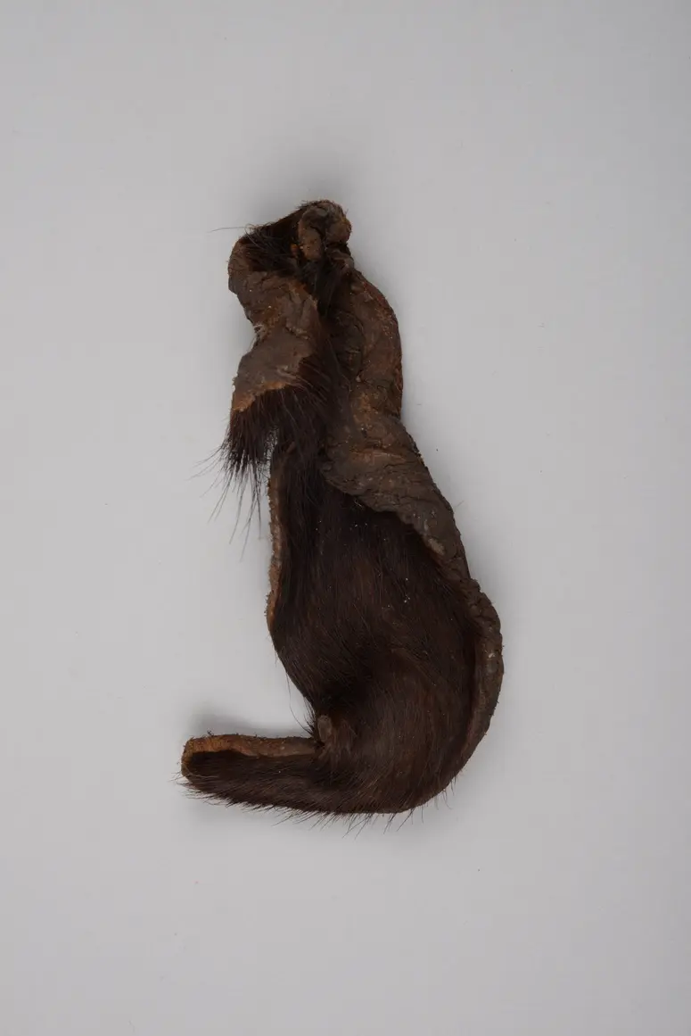 Fell (Amulett)