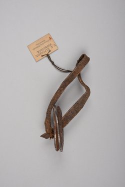 Ohrschmuck für Frauen (Fragment)