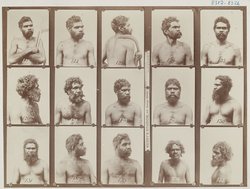 Aboriginal Chief, Bellinger River tribe, N.S.W.