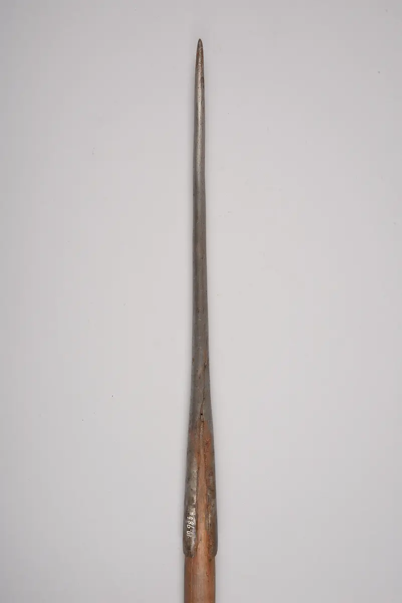 Fischspeer
