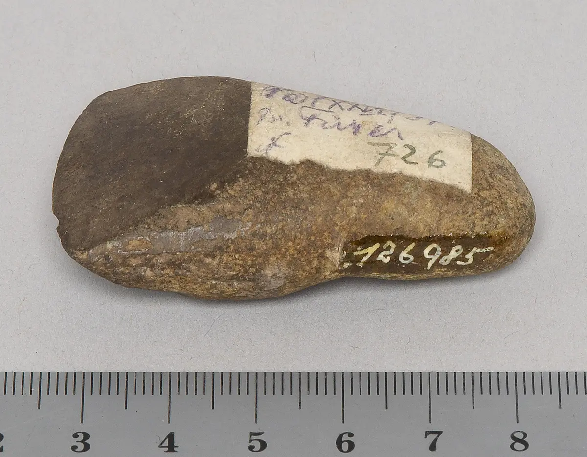 Steinbeil