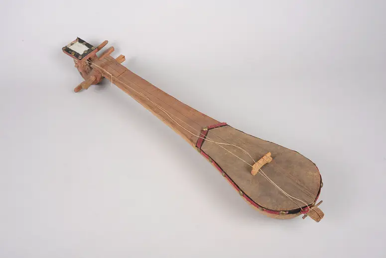 Instrument: Langhalslaute