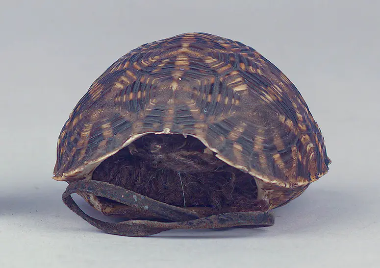 Schildkrötenpanzerbehälter