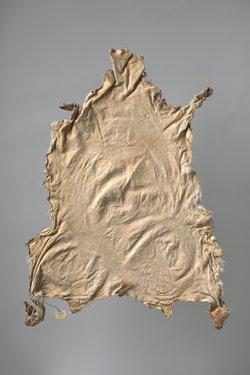 Steinantilopenfell