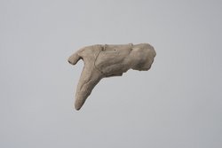 Fragment einer Lehmfigur: Gnu