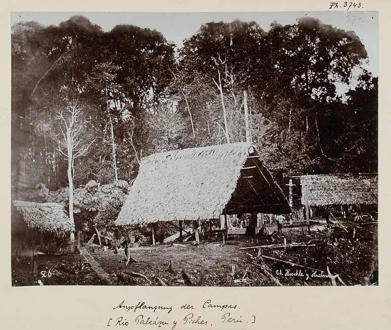 Chacra (= Auspflanzung) der Campas mit Häusern. [Rio Palcázu y Piches, Perú]
