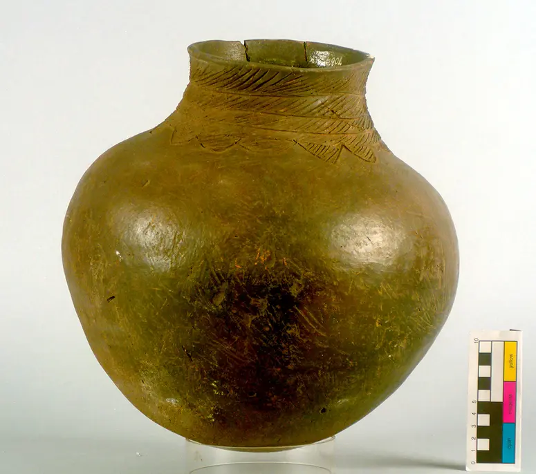 Pot