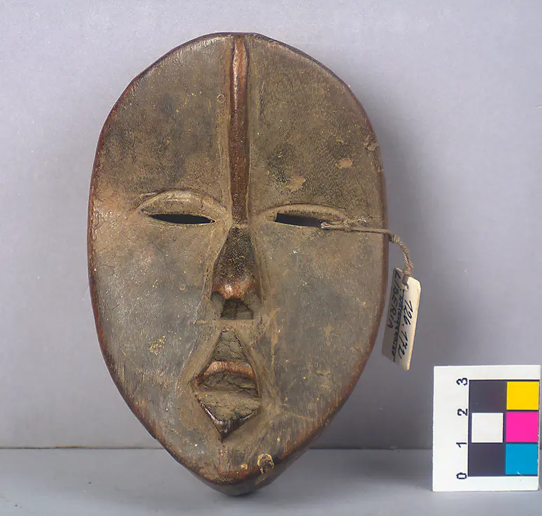 Guardian Mask