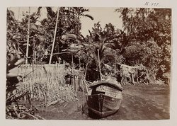 Cochinchine: Paysages