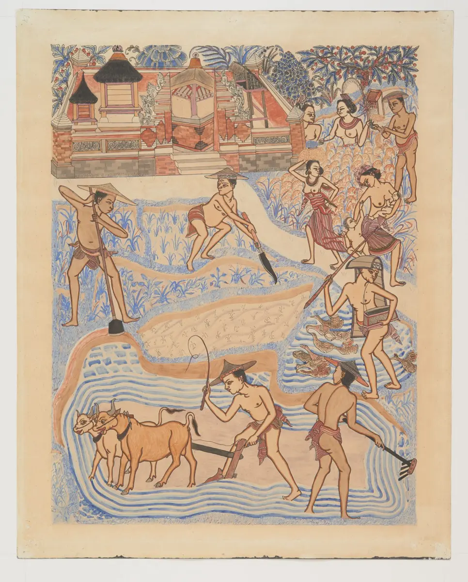 Plants of rice - Online Collection - Weltmuseum Wien