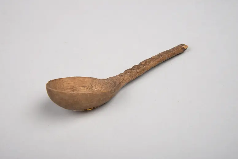 Spoon