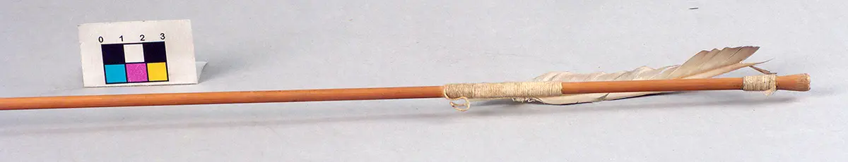 Hunting arrow