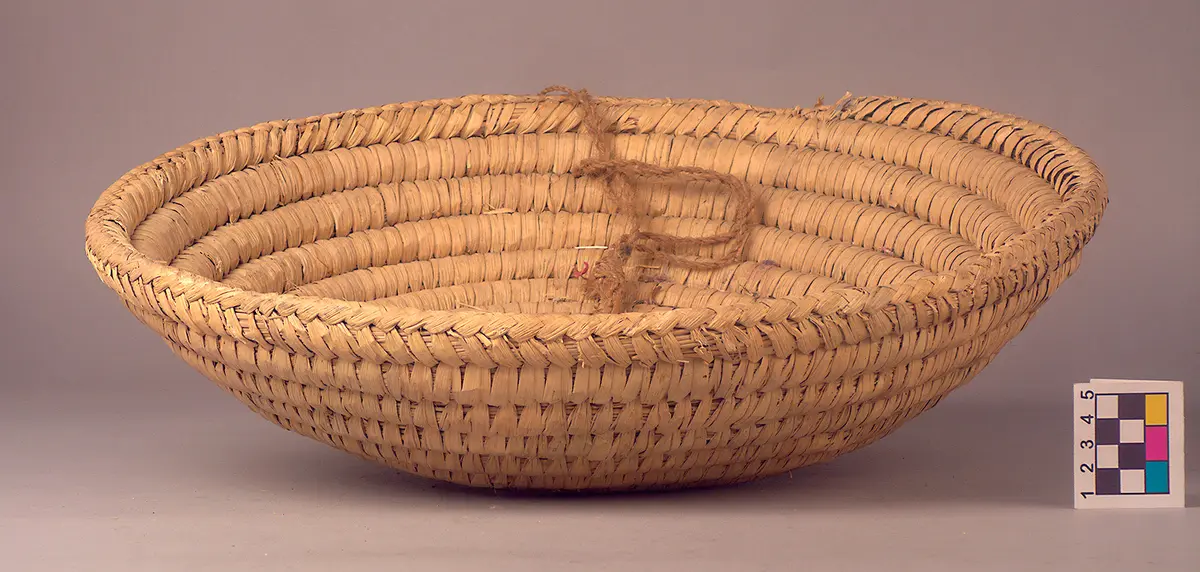 basket