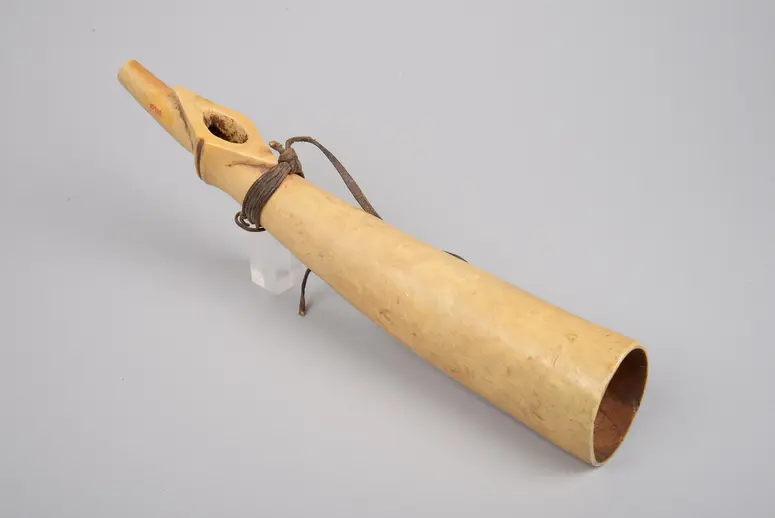 Signalhorn