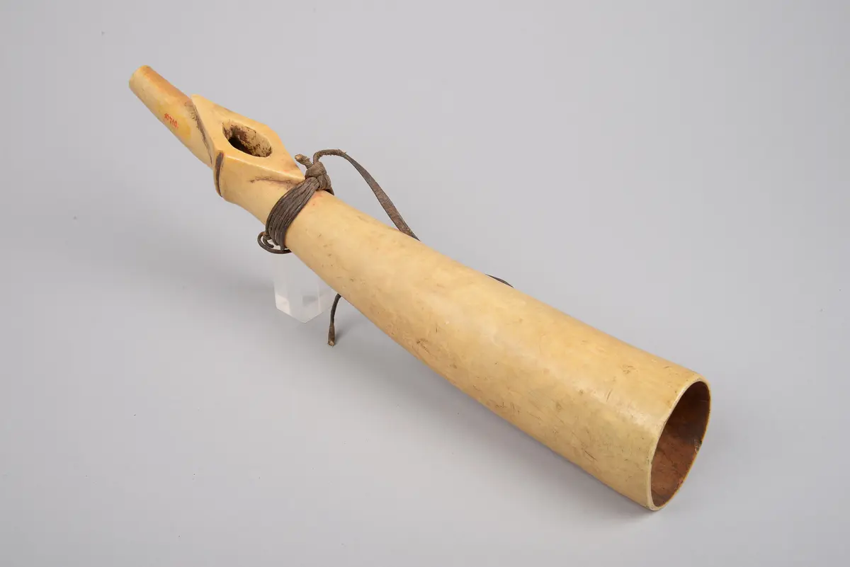 Signalhorn