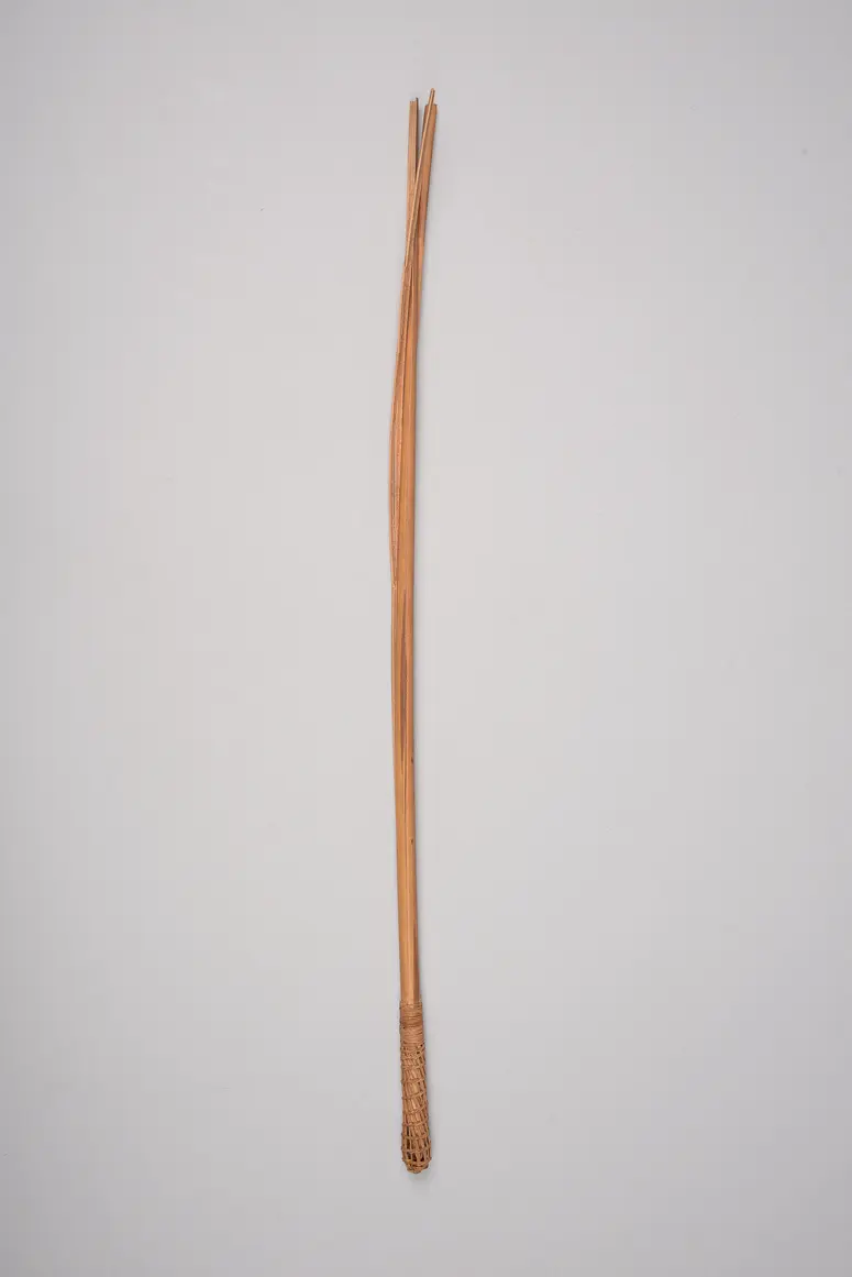 Saugrohr