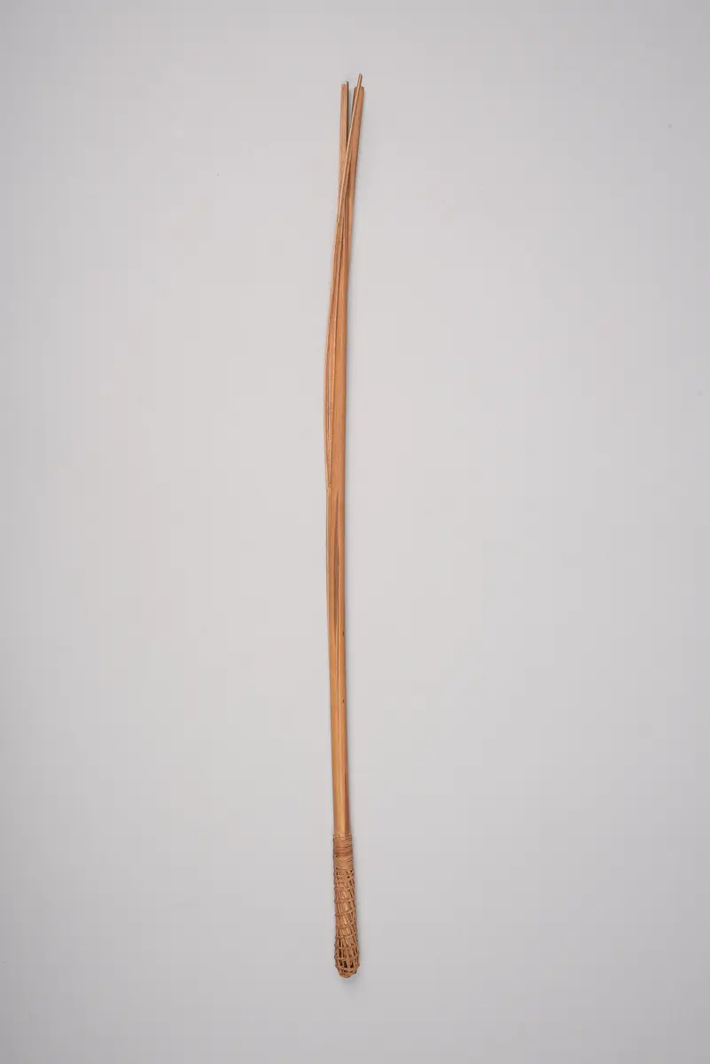 Saugrohr