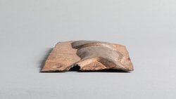 Reliefplatte: Wels