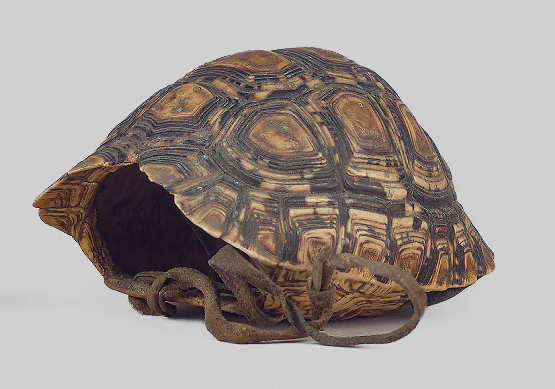 Schildkrötenpanzerbehälter
