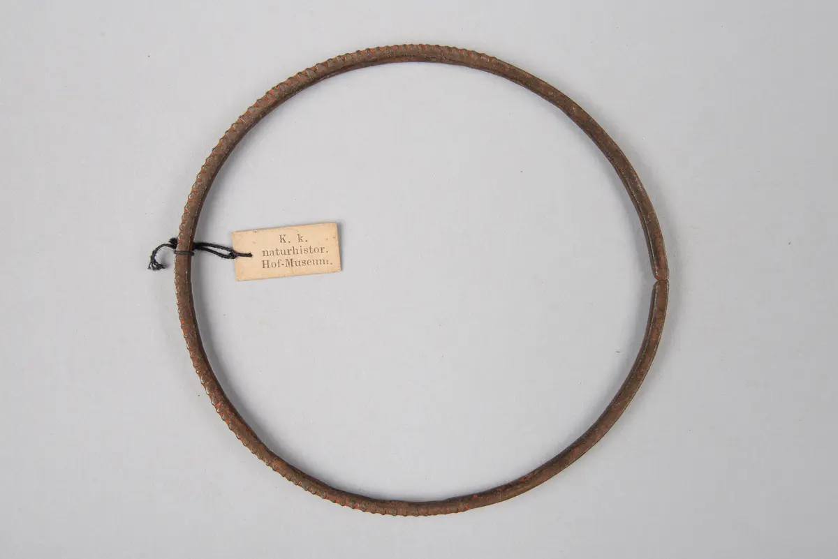 Armband