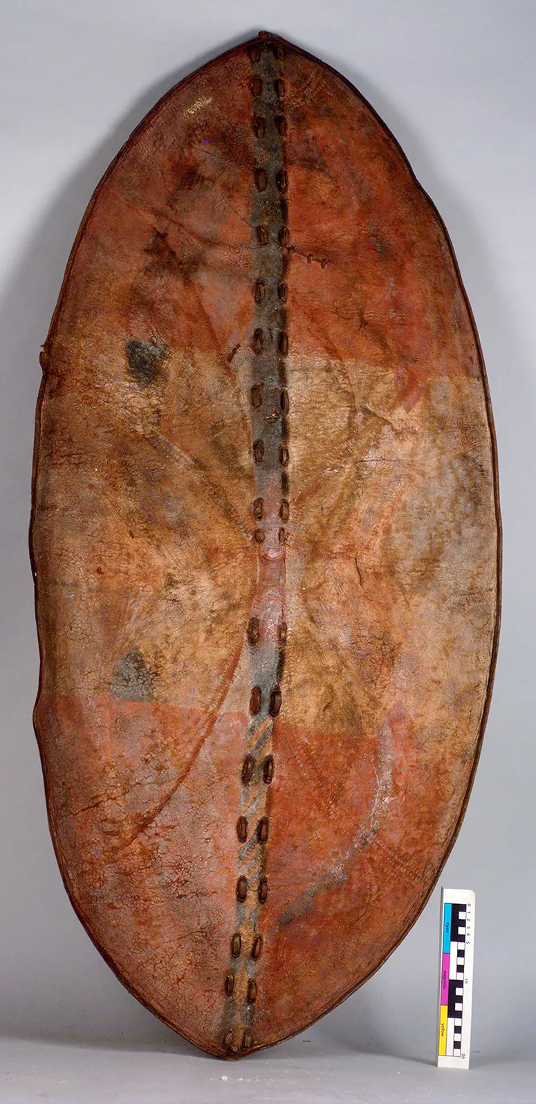 Shield
