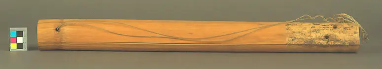 Saiteninstrument