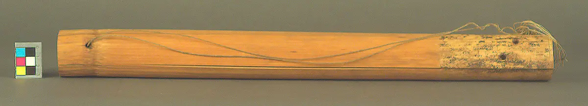 Saiteninstrument