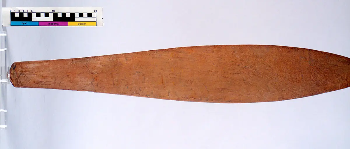 Paddle