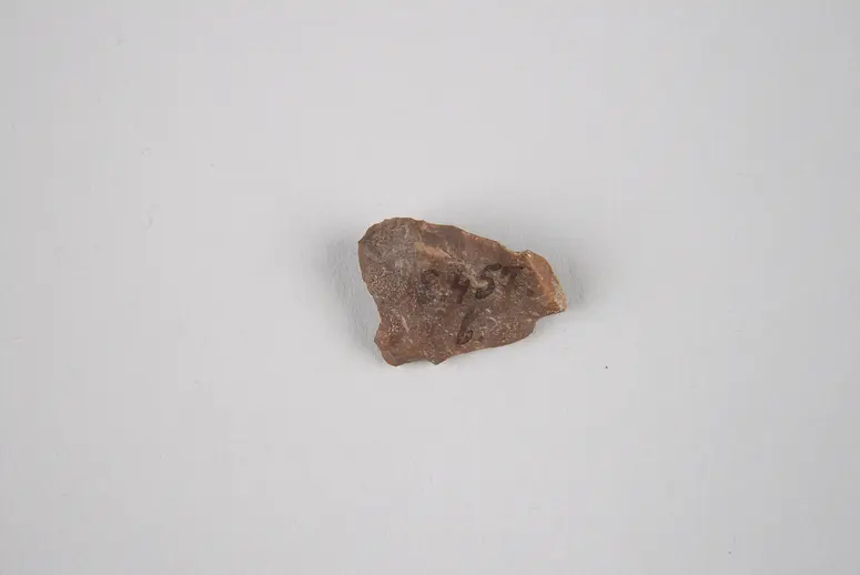 Feuerstein