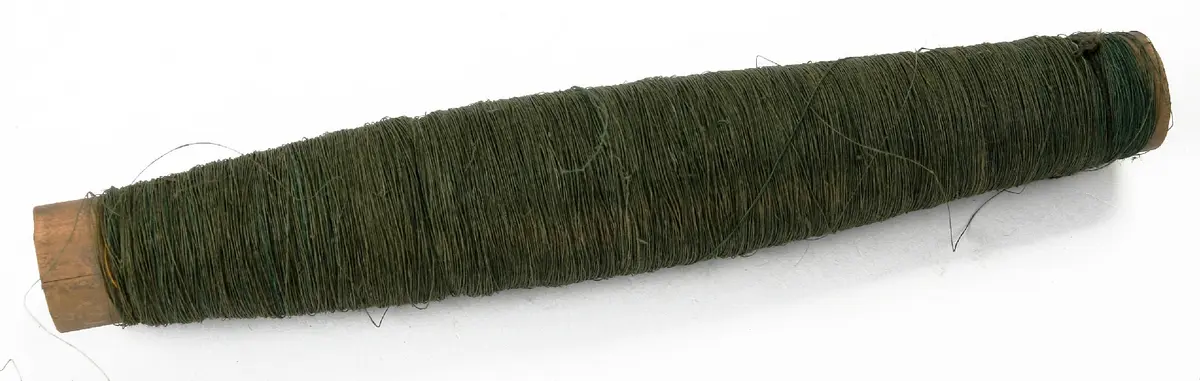 Coil