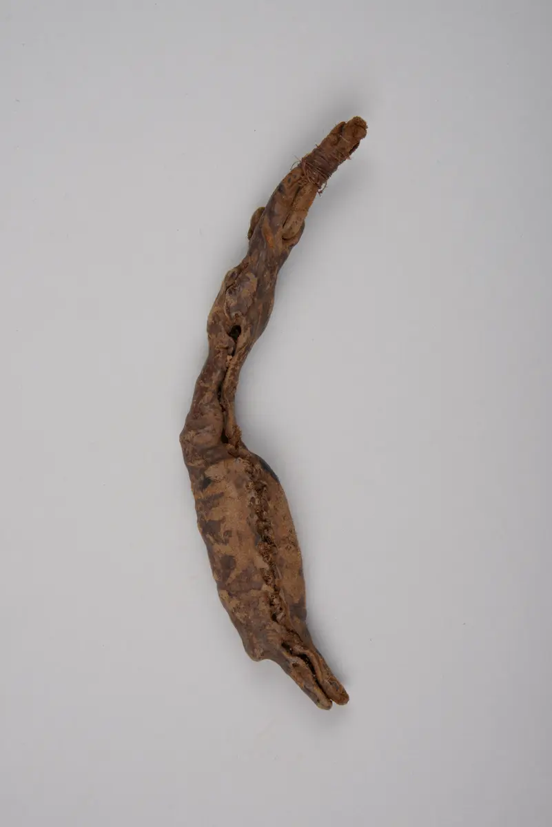Wurzel (Amulett)