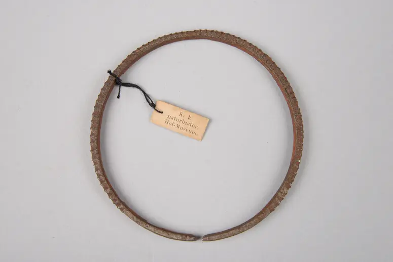 Armband