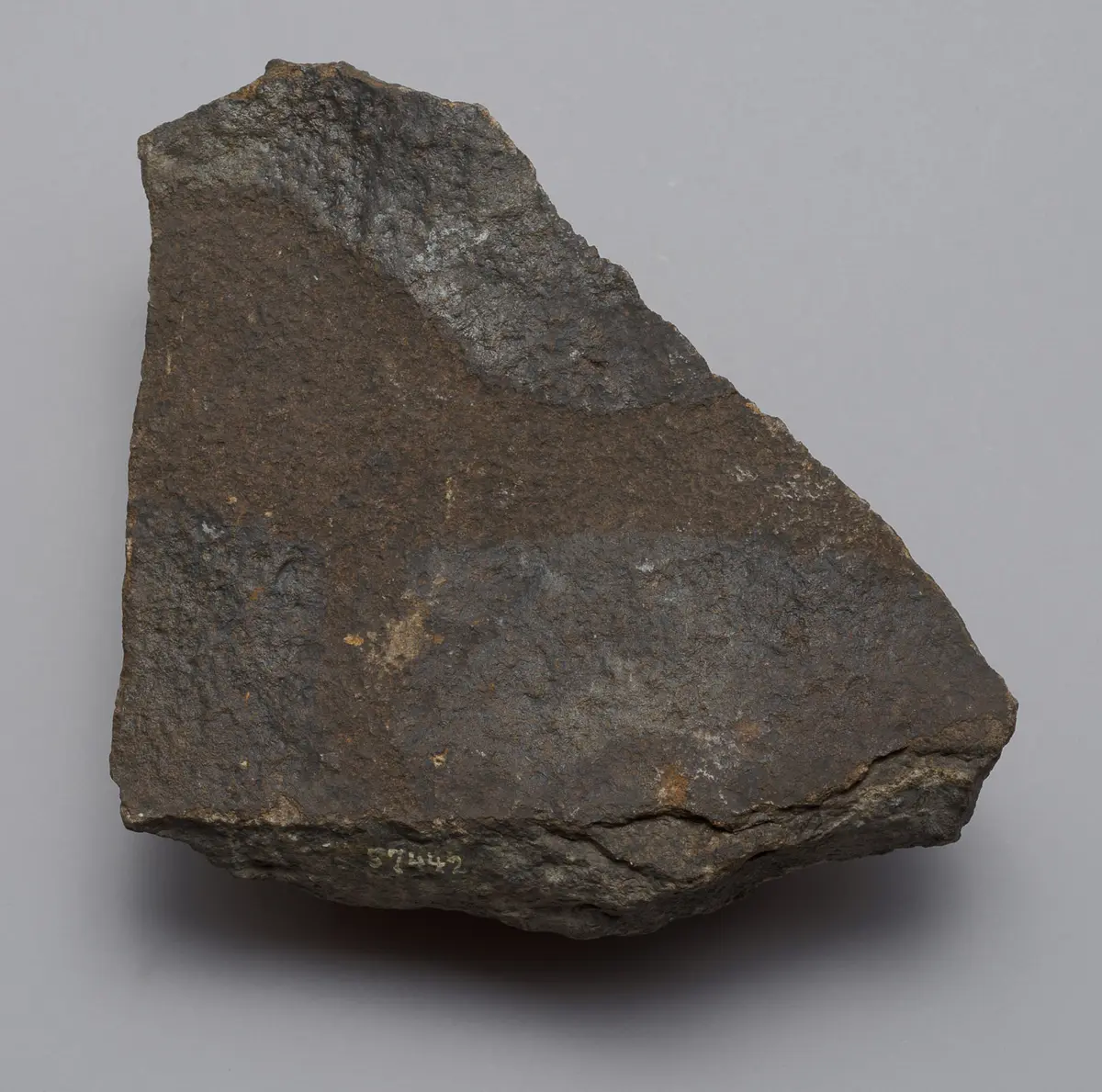 Felsgravierung: Duckerantilope, Fragment
