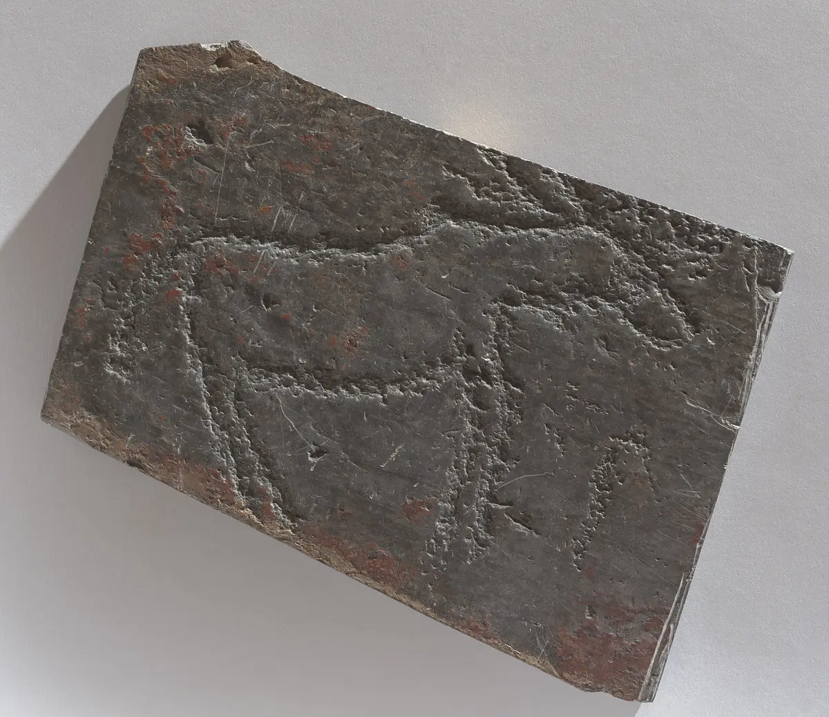 Felsgravierung: Antilope, Fragment