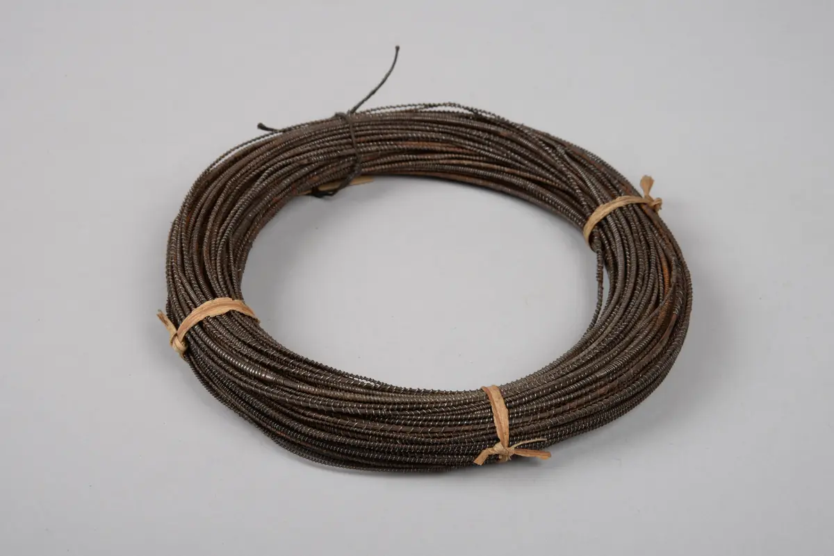 Wadenringe (56.287 - 56.304)