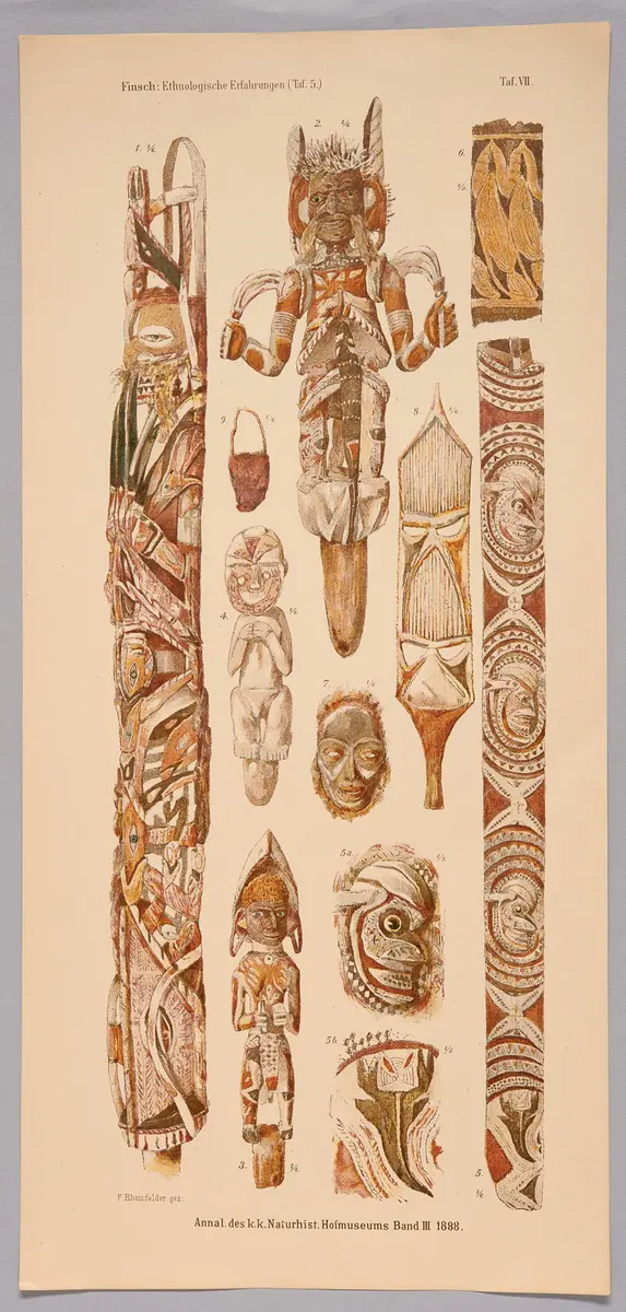 Finsch-Illustration Nr. 1 (Druckgrafik)