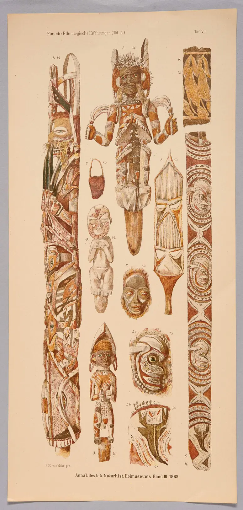 Finsch-Illustration Nr. 1 (Druckgrafik)