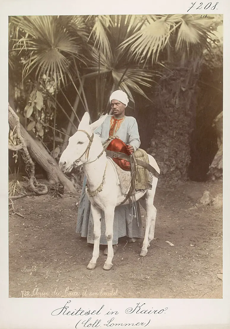 Reitesel in Kairo