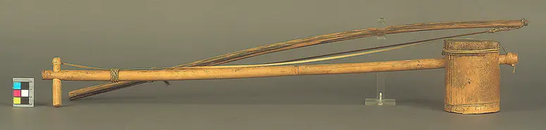 Saiteninstrument