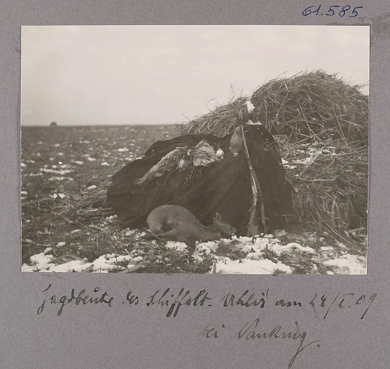 Jagdbeute des Schiffslt. Uhlir am 24/I. 09 bei Nanking