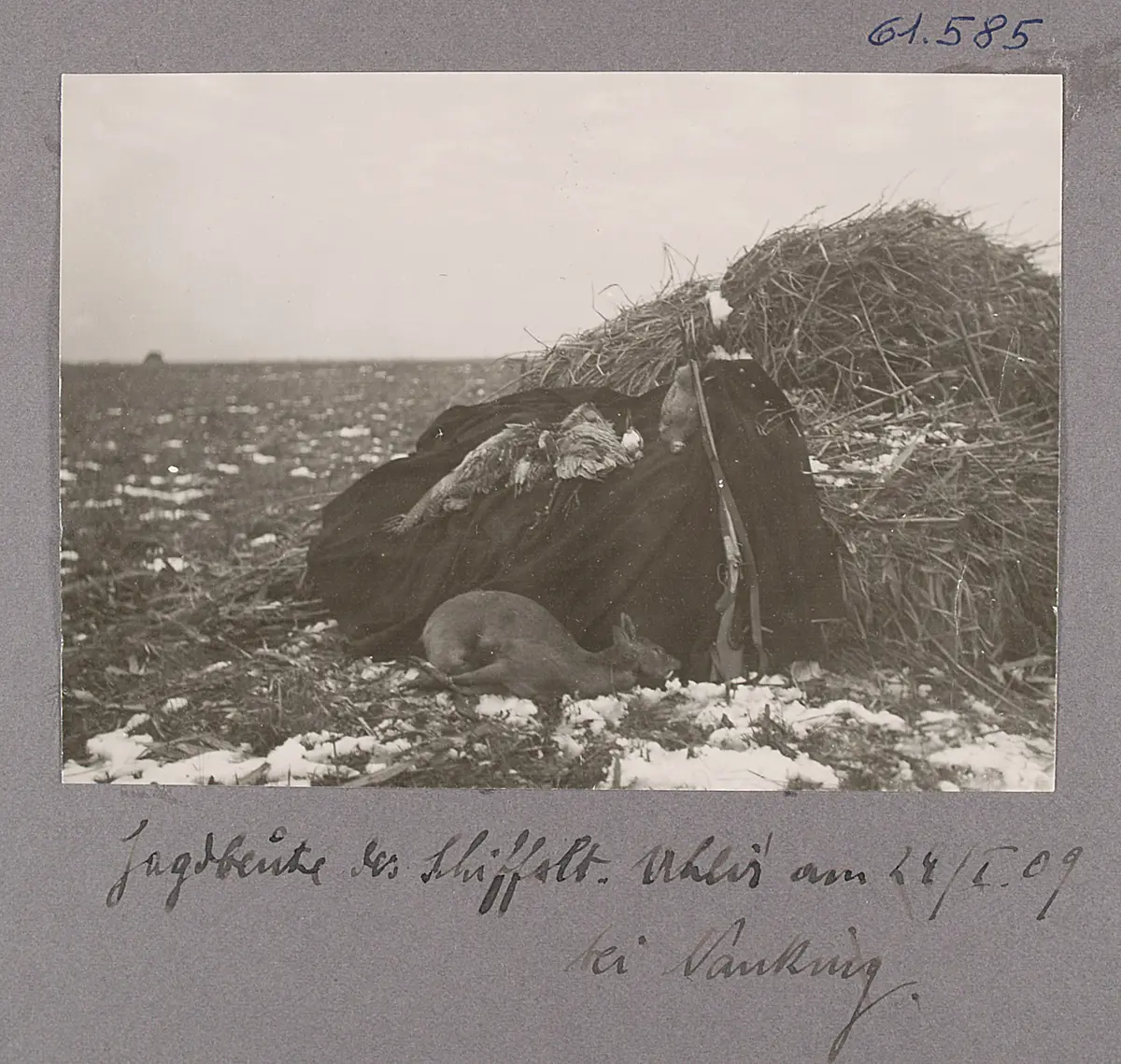 Jagdbeute des Schiffslt. Uhlir am 24/I. 09 bei Nanking