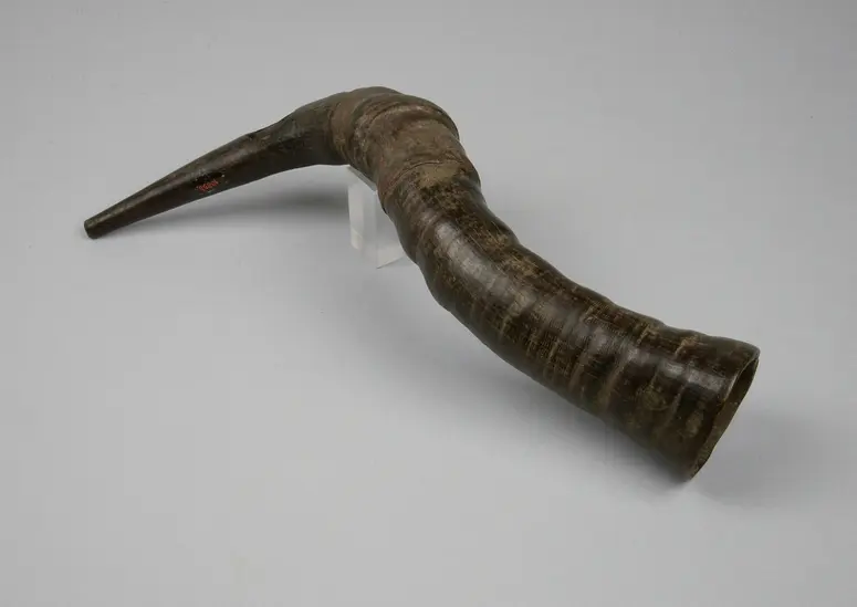 Instrument: Horn