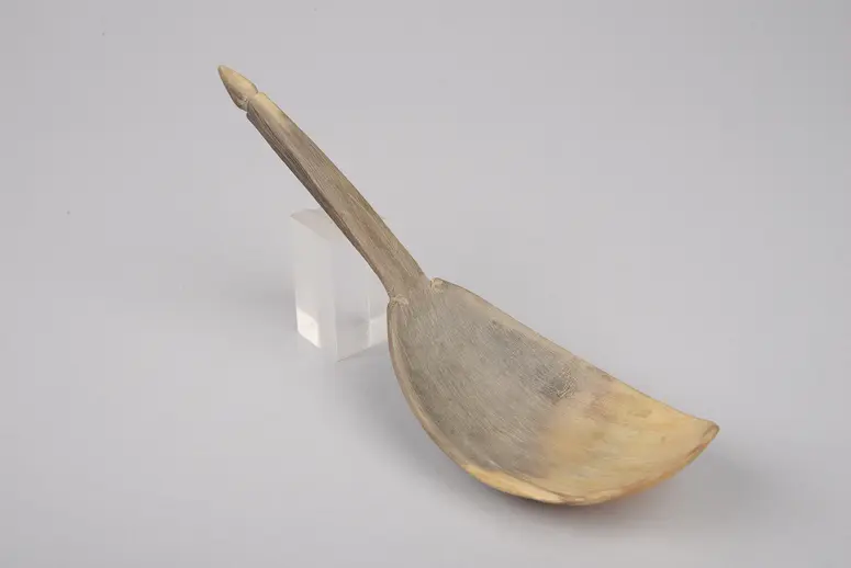 Horn Spoon