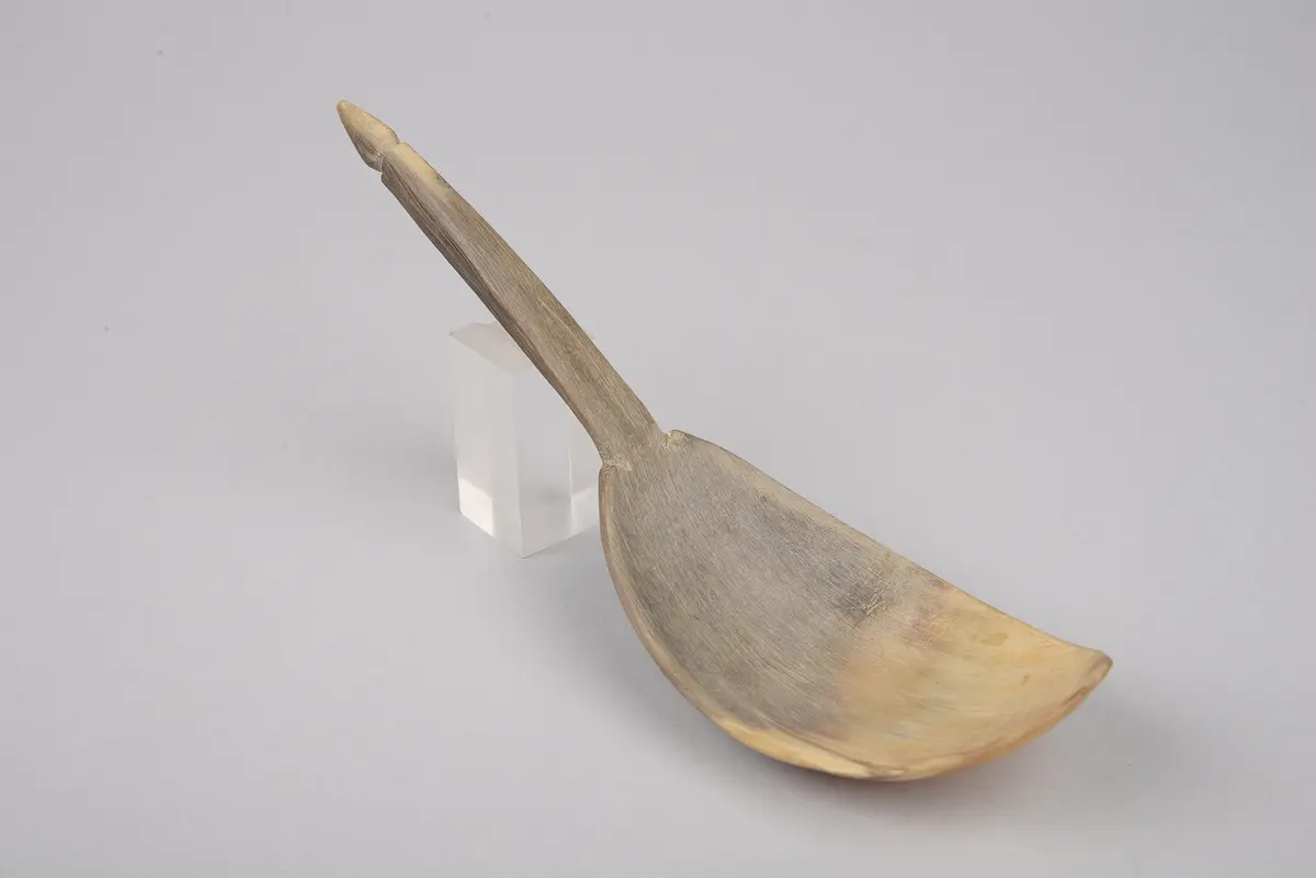 Horn Spoon