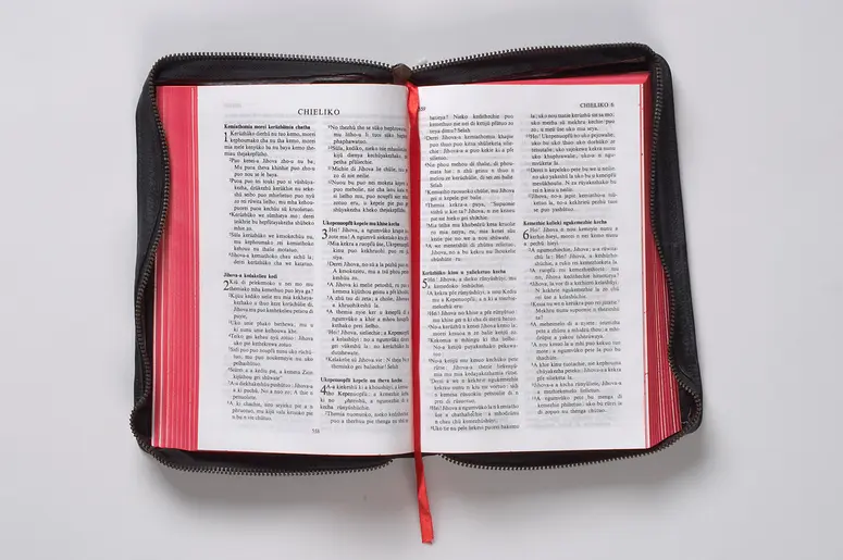 Bibel in Angamisprache