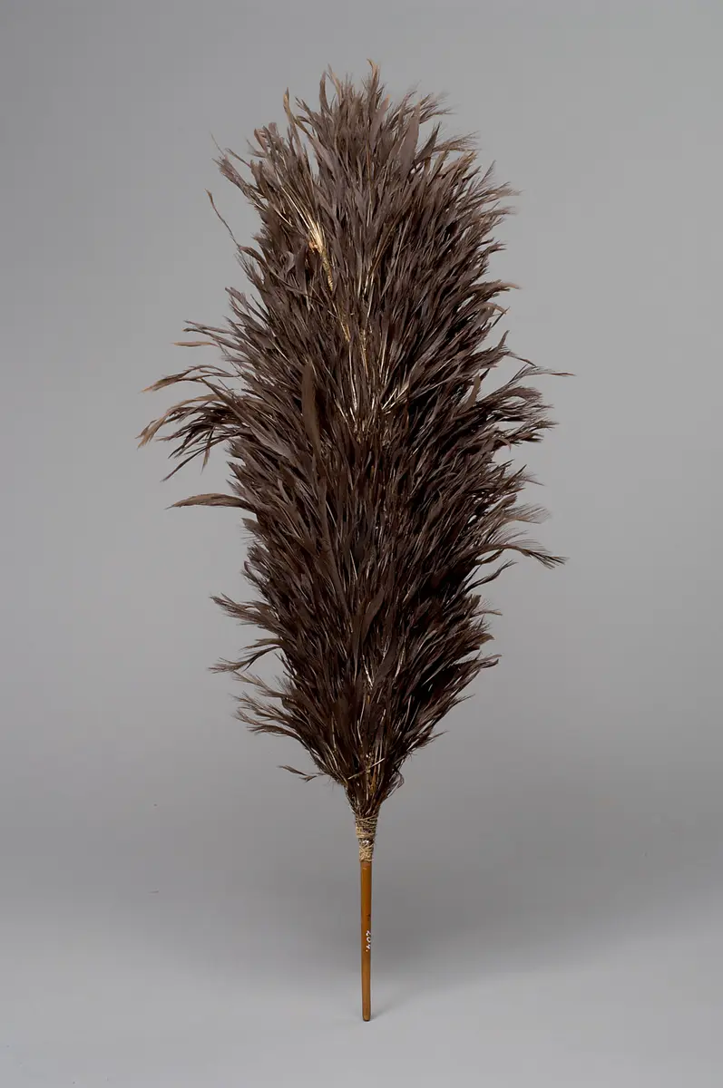 Feather standard, symbol of dignity