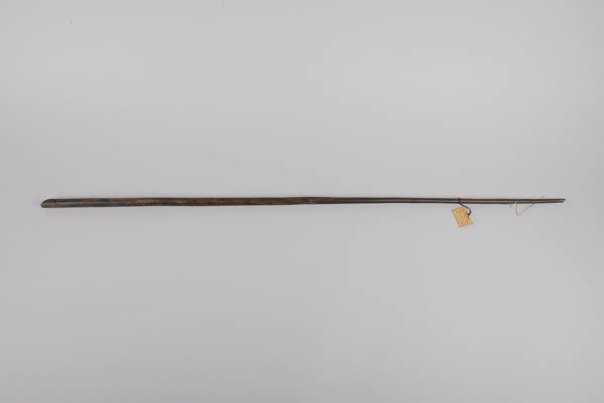 Pfeifenrohr