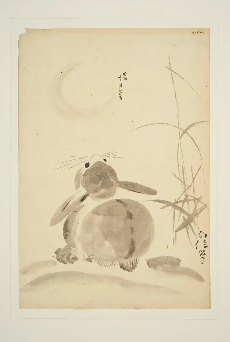 Hase den Mond betrachtend